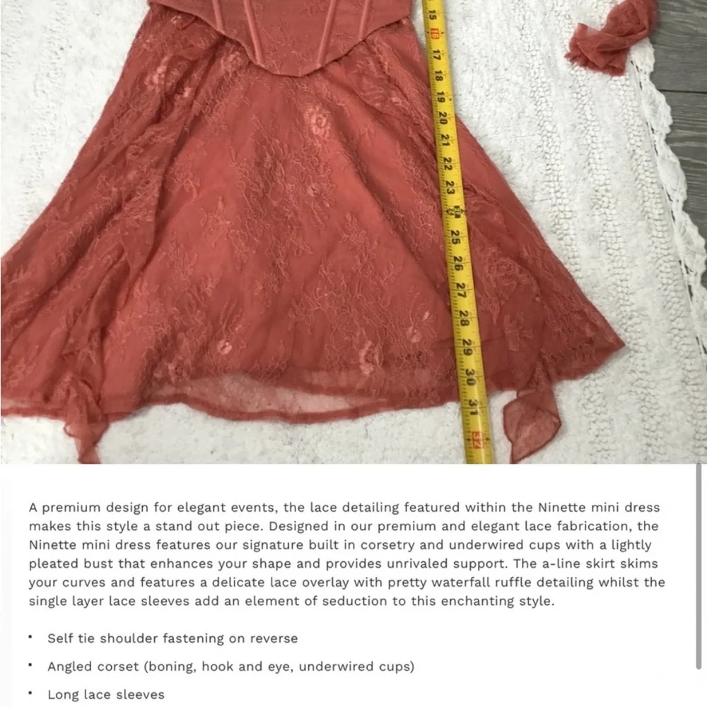 NWT Oh Polly Ninette Lace Corsette Mini Dress in Terracotta size 4 - Picture 4 of 4